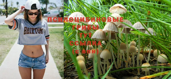 дмт Абдулино