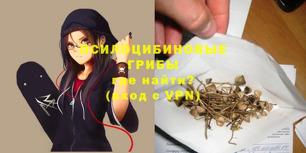 PSILOCYBIN Алзамай