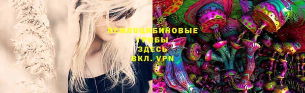 дурь Алексеевка